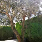 D'el Rey The Golf & וילה