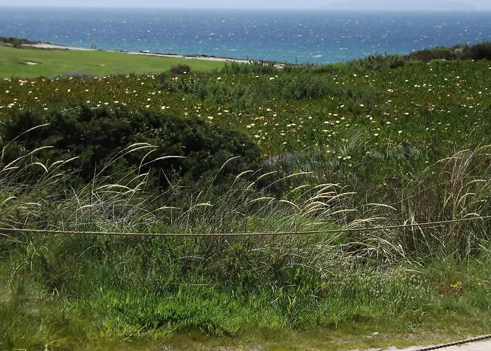 D'el Rey The Golf & Villa Óbidos